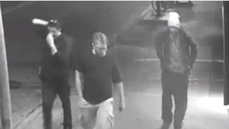 Surveillance footage showing the three thugs (WXYZ screenshot)
